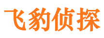 舒城寻人公司